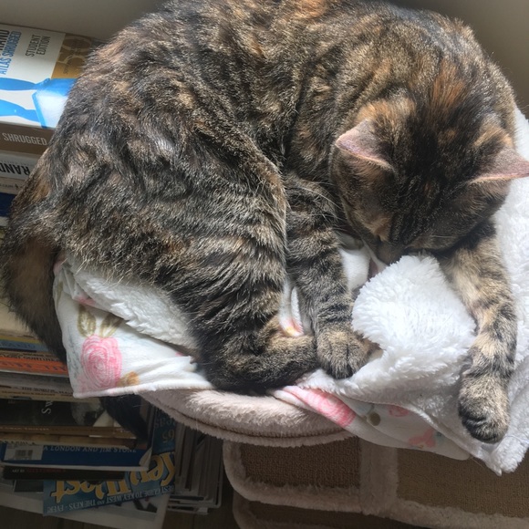 Meet your Posher, Linda - Picture 2 of 3